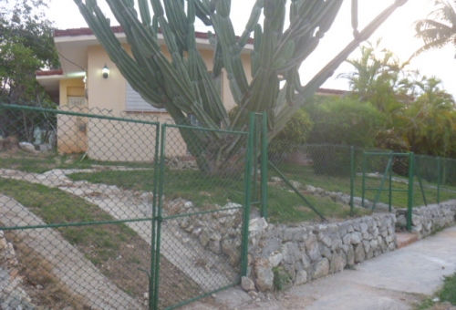 Casa Particulae Cactus Nuevo Vedado