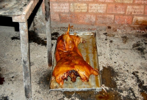 casa particular en alquiler el Holandes