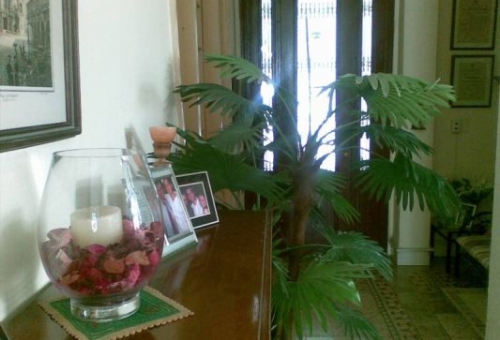 Casa Particular Flora Roca - Vedado