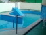 casa particular renta