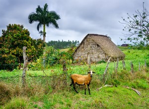 Pinar del Río | Viñales